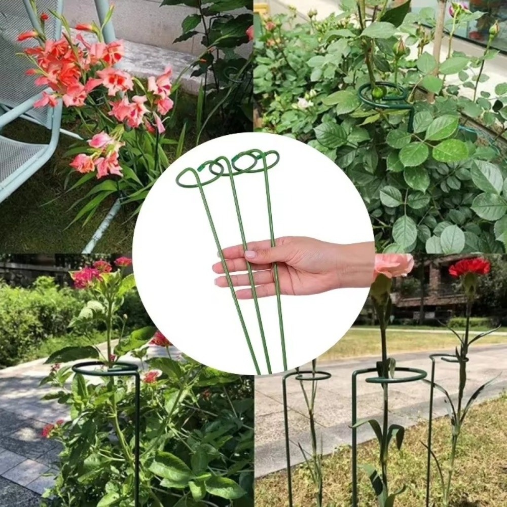 New Metal Support Frame Anti-d - Plant Parent Tools 评论和价格