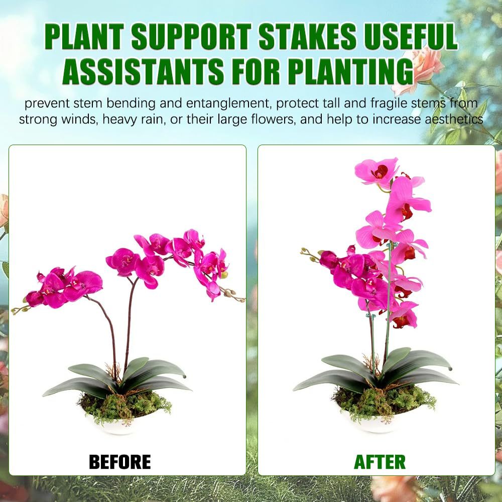 5/10PCS Plant Supports Stand B - Plant Parent Tools 评论和价格