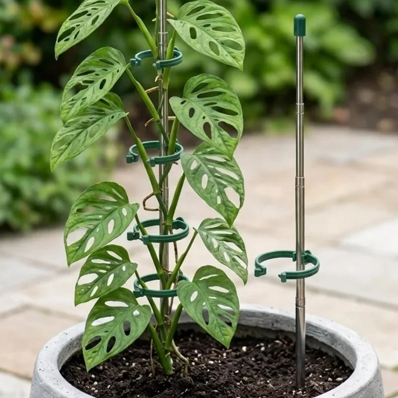 5/1PCS Retractable Plant Suppo - Plant Parent Tools 评论和价格