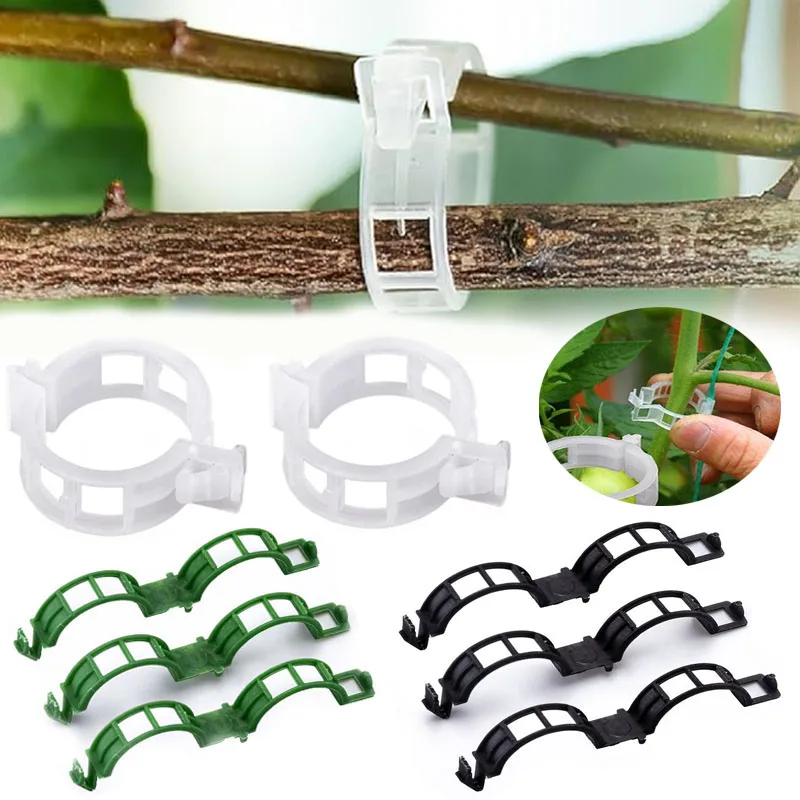 100PCS Plant Fixing Clips Reus - Plant Parent Tools 评论和价格