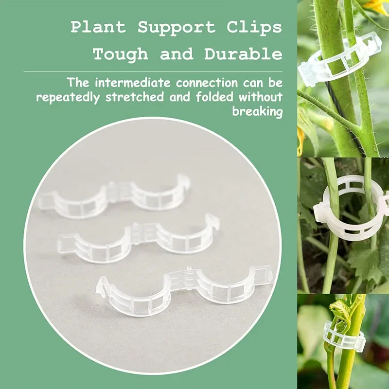 100PCS Plant Fixing Clips Reus - Plant Parent Tools 评论和价格