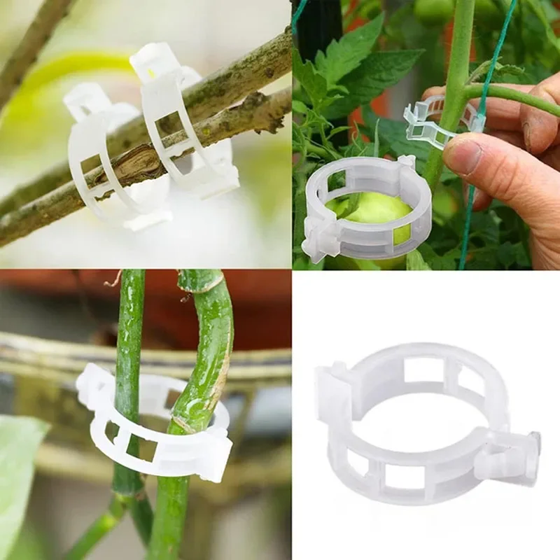 100PCS Plant Fixing Clips Reus - Plant Parent Tools 评论和价格