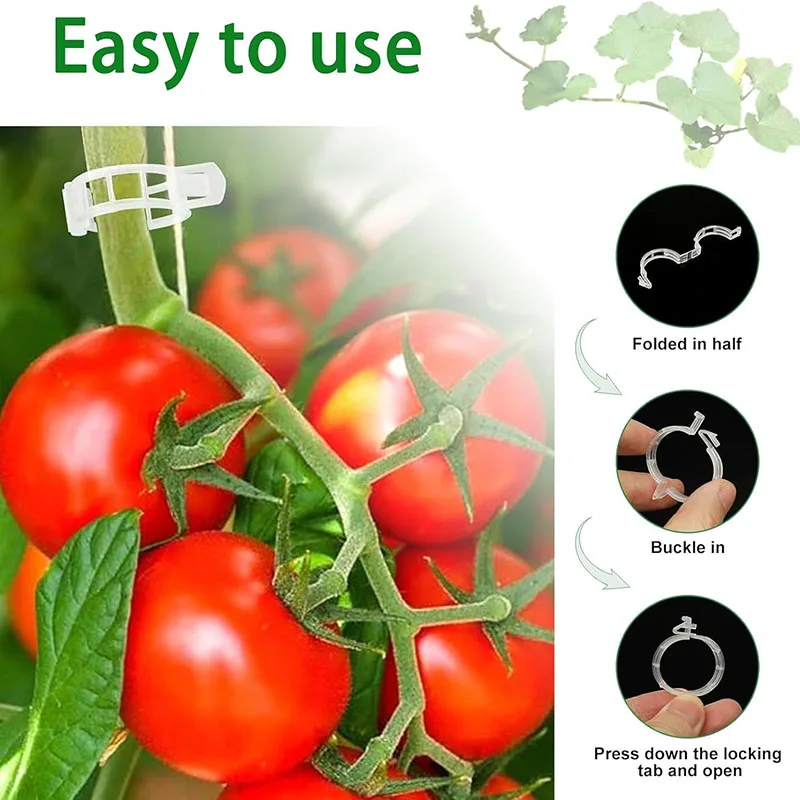 100PCS Plant Fixing Clips Reus - Plant Parent Tools 评论和价格