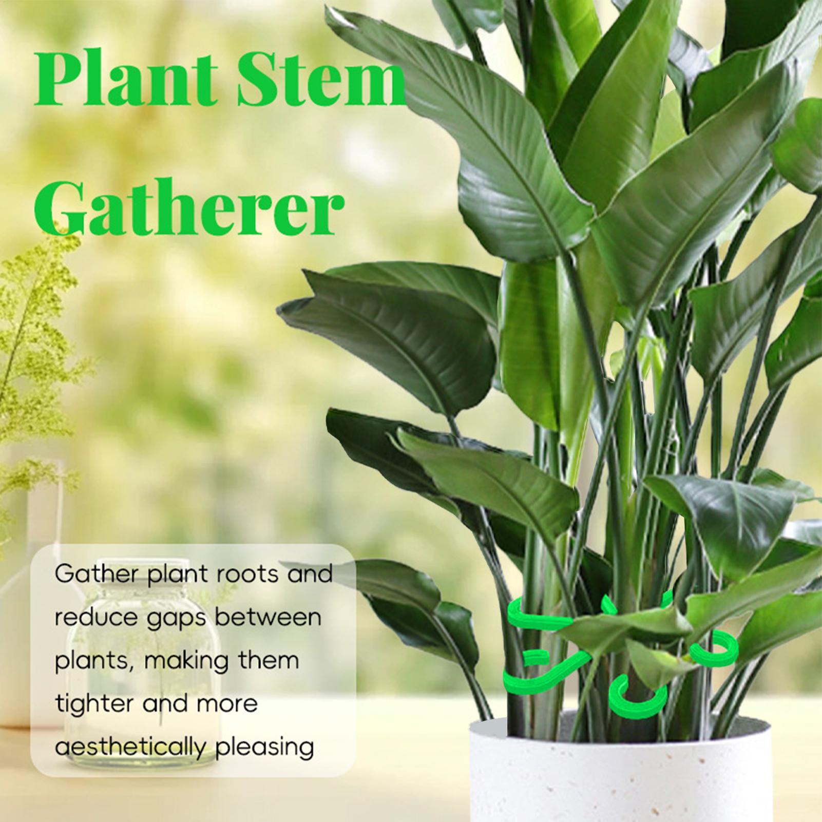 4pc Plant Fixing Clip Plant Cl - Plant Parent Tools 评论和价格