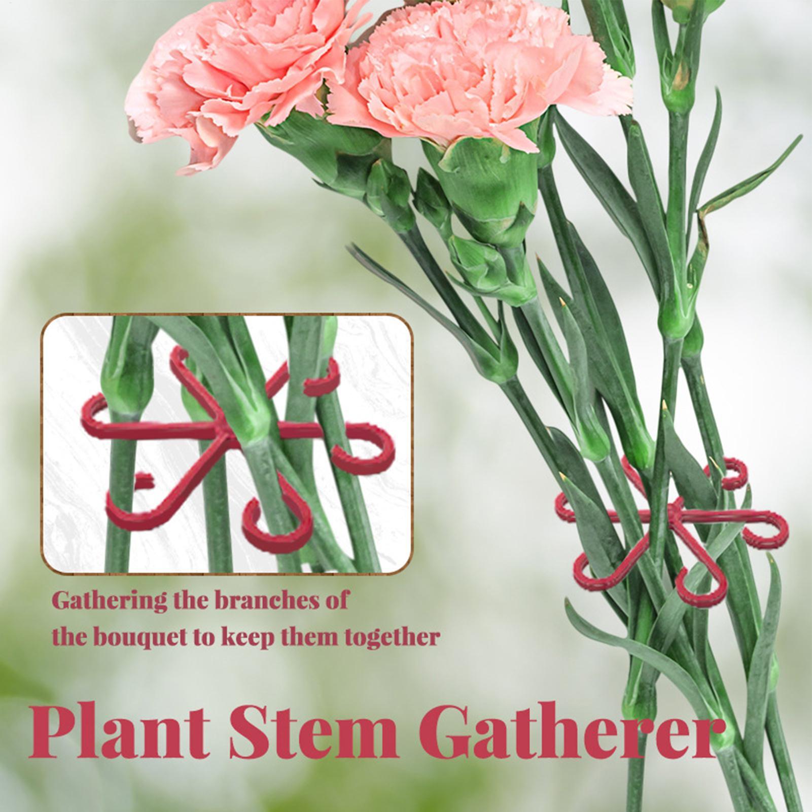 4pc Plant Fixing Clip Plant Cl - Plant Parent Tools 评论和价格