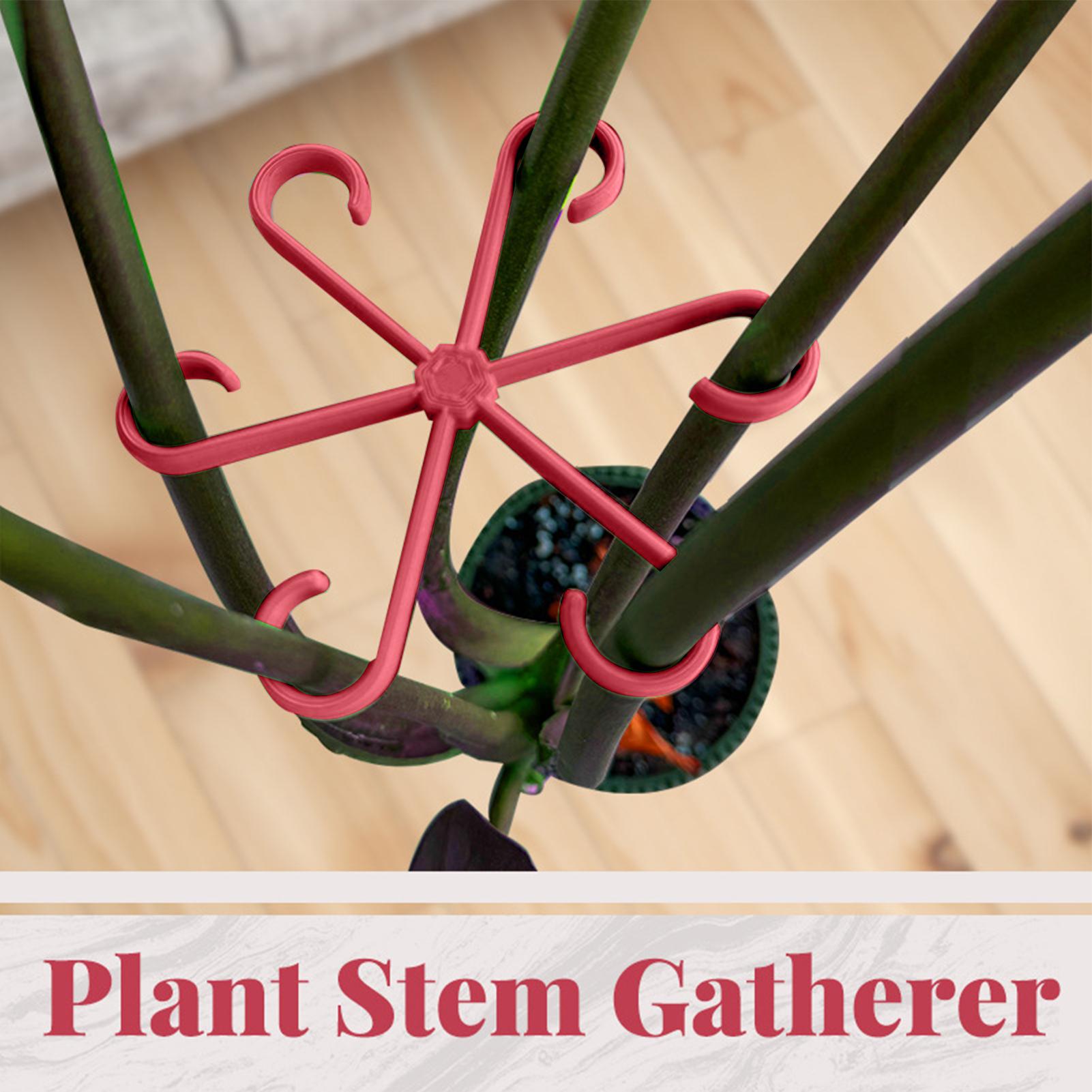 4pc Plant Fixing Clip Plant Cl - Plant Parent Tools 评论和价格