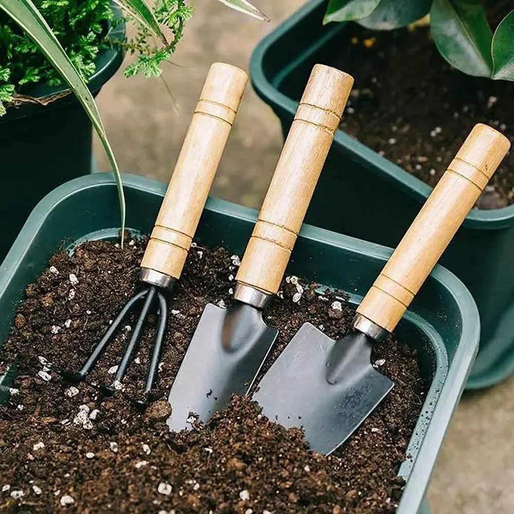 3Pcs/Set Mini Garden Tool Set  - Plant Parent Tools 评论和价格
