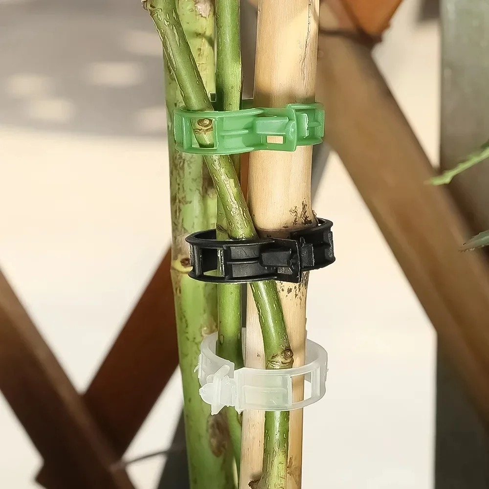 100/10PCS Plant Support Clips  - Plant Parent Tools 评论和价格