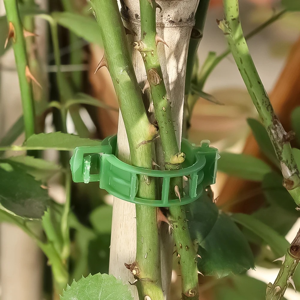 100/10PCS Plant Support Clips  - Plant Parent Tools 评论和价格