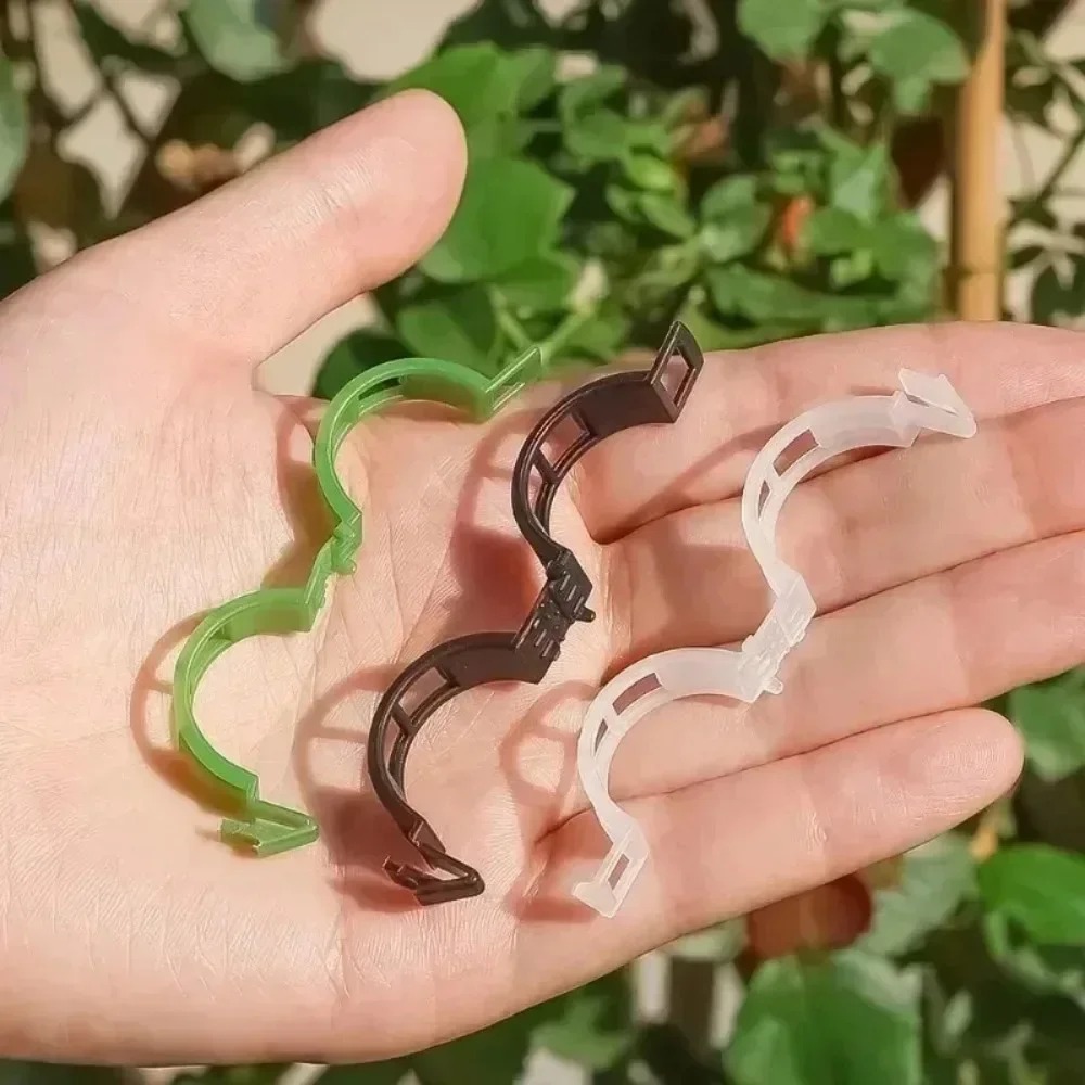 100/10PCS Plant Support Clips  - Plant Parent Tools 评论和价格