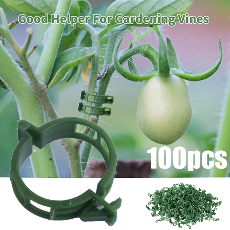 100 PCS/ Plant Support Clip Pl - Plant Parent Tools 评论和价格