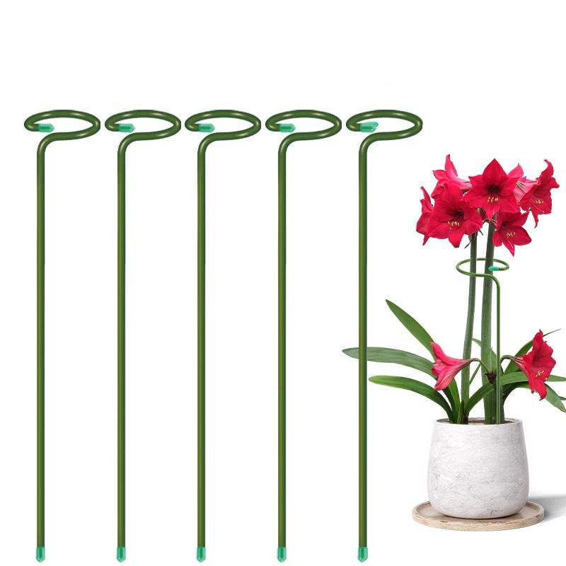 1-10pcs Metal Single Stem Plan - Plant Parent Tools 评论和价格