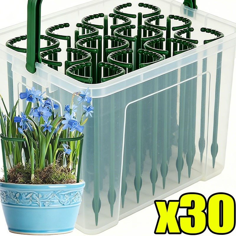 30-1PCS Plastic Plant Support  - Plant Parent Tools 评论和价格