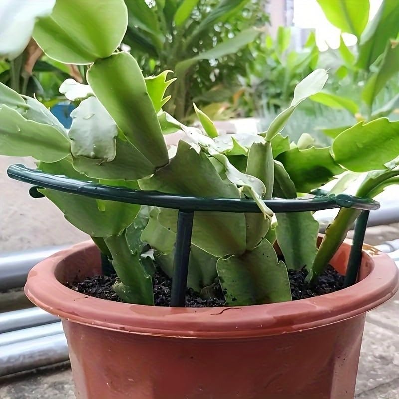 30-1PCS Plastic Plant Support  - Plant Parent Tools 评论和价格