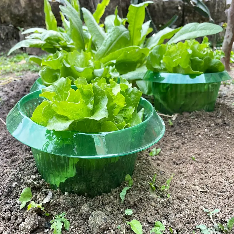 Plants Slug Protection Rings V - Plant Parent Tools 评论和价格