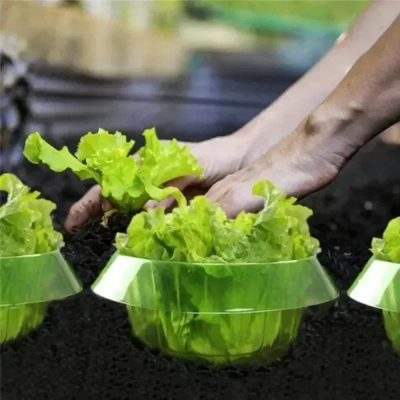 Plants Slug Protection Rings V - Plant Parent Tools 评论和价格