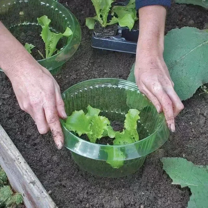 Plants Slug Protection Rings V - Plant Parent Tools 评论和价格