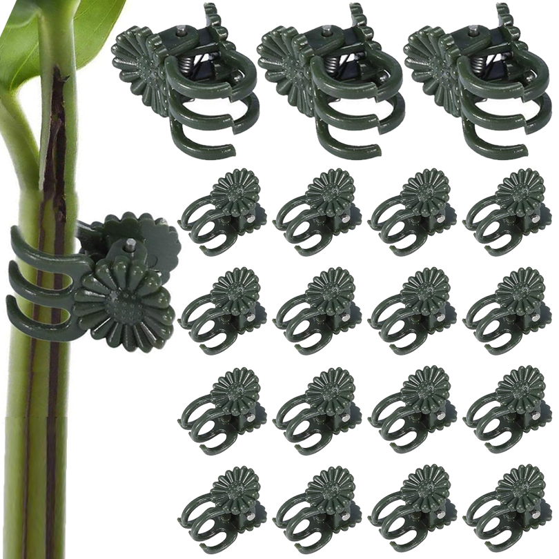 20/50/100PCS Plant Clips Vine  - Plant Parent Tools 评论和价格