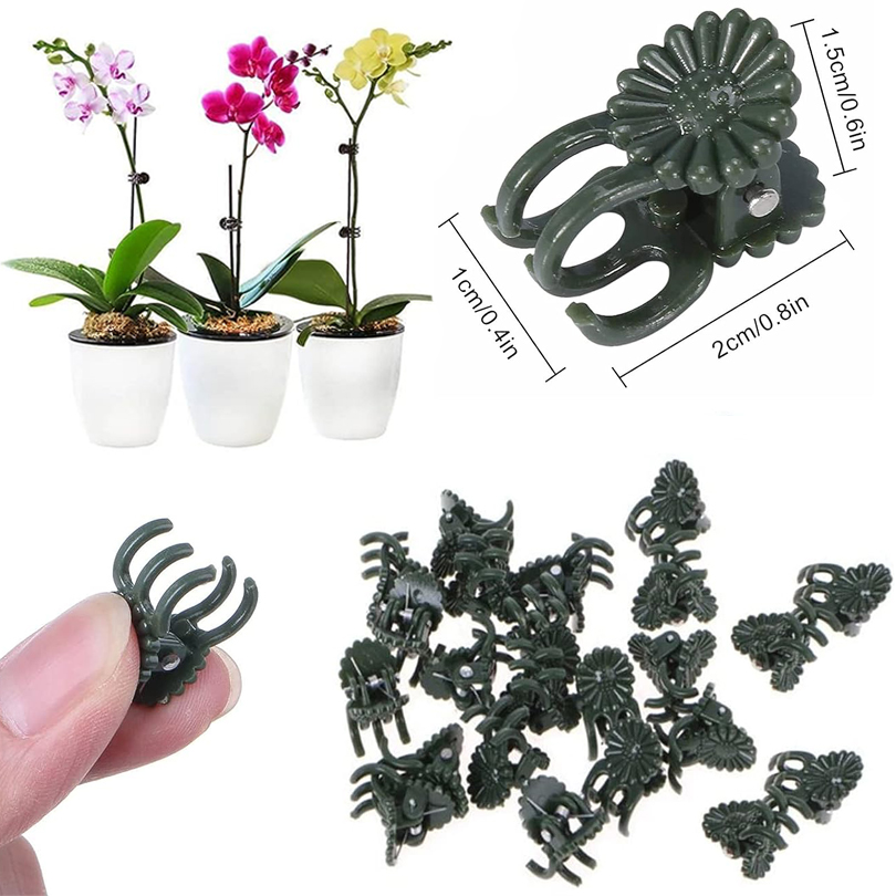 20/50/100PCS Plant Clips Vine  - Plant Parent Tools 评论和价格