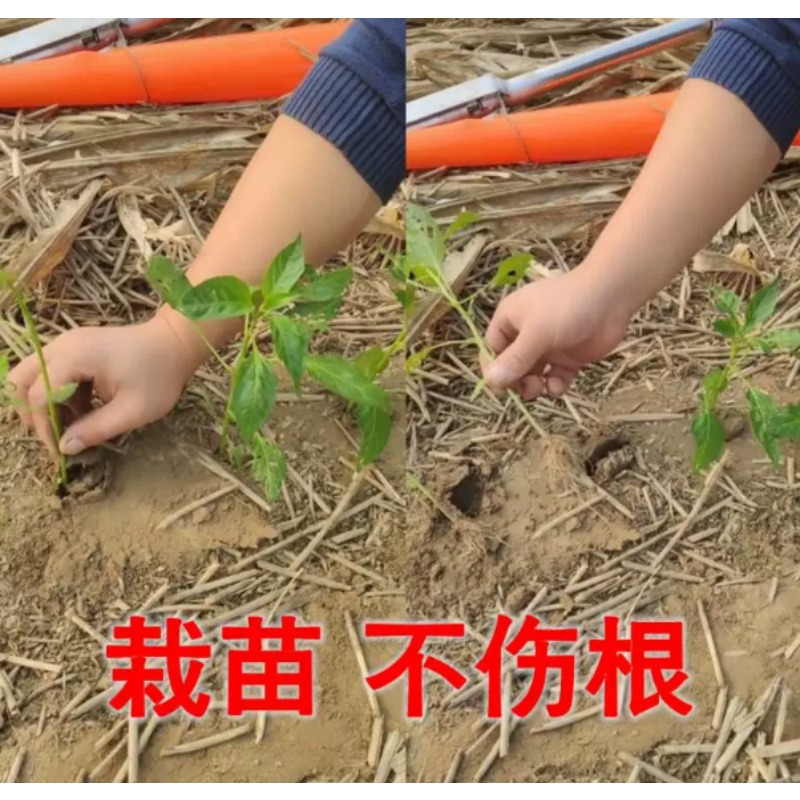 Agricultural Seedling Transpla - Plant Parent Tools 评论和价格
