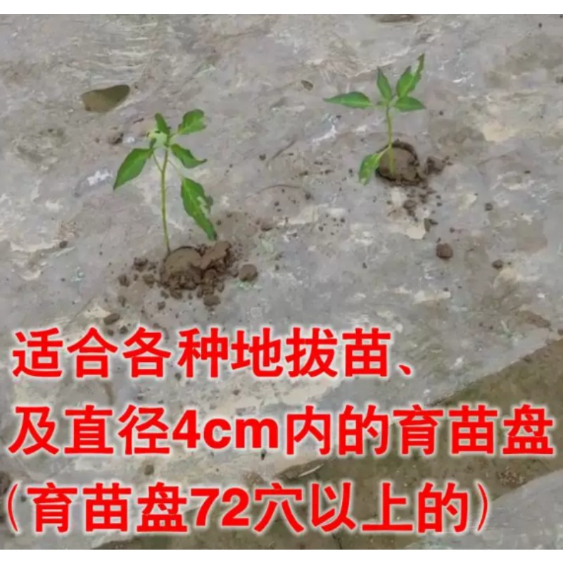 Agricultural Seedling Transpla - Plant Parent Tools 评论和价格