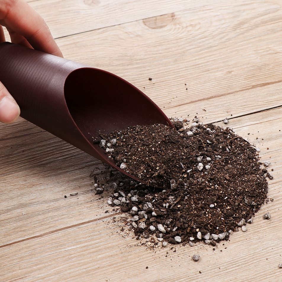 1PC Plastic Soil Shovel Cup Fo - Plant Parent Tools 评论和价格